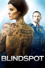 Blindspot saison 1