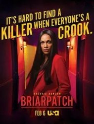 Briarpatch saison 1