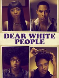 Dear White People saison 1