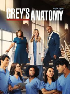 Grey's Anatomy saison 19